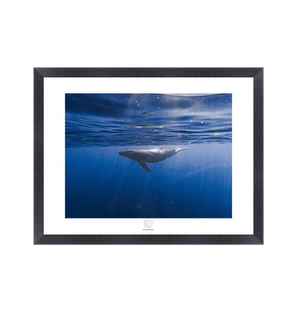 Black Frame Fine art print Front