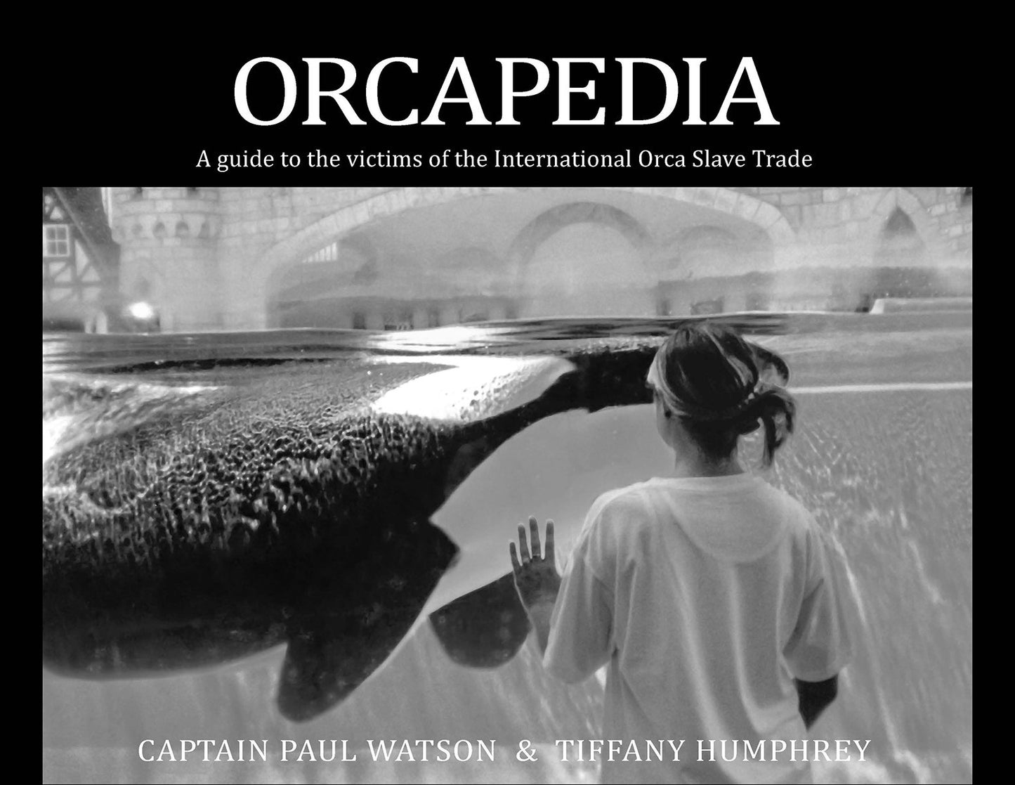Orcapedia Book - White/black