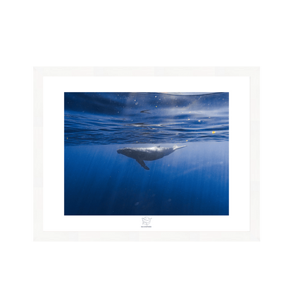 White Frame Fine art print Front