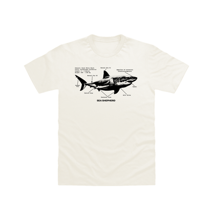 Off White Printed T-shirt Front