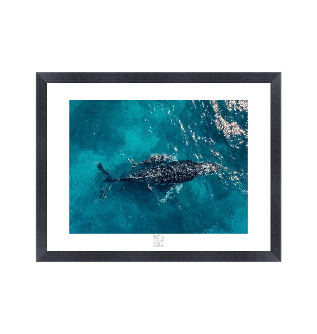 Black Frame Fine art print Front