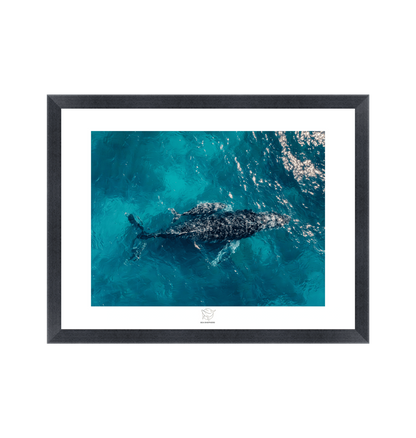 Black Frame Fine art print Front