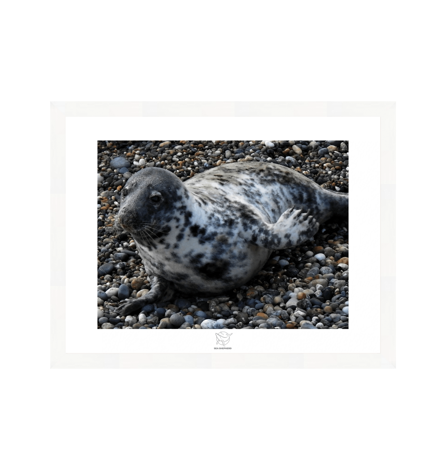 White Frame Fine art print Front