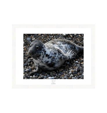 White Frame Fine art print Front