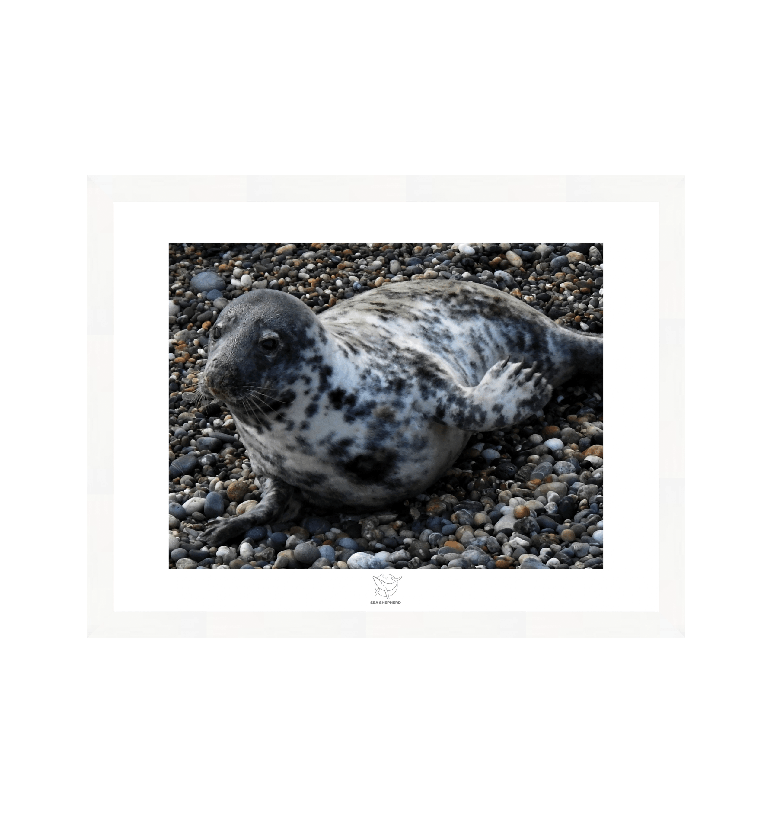 White Frame Fine art print Front