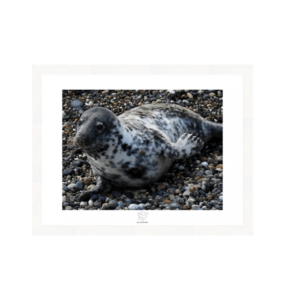 White Frame Fine art print Front