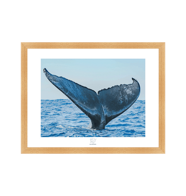 Natural Frame Fine art print Front