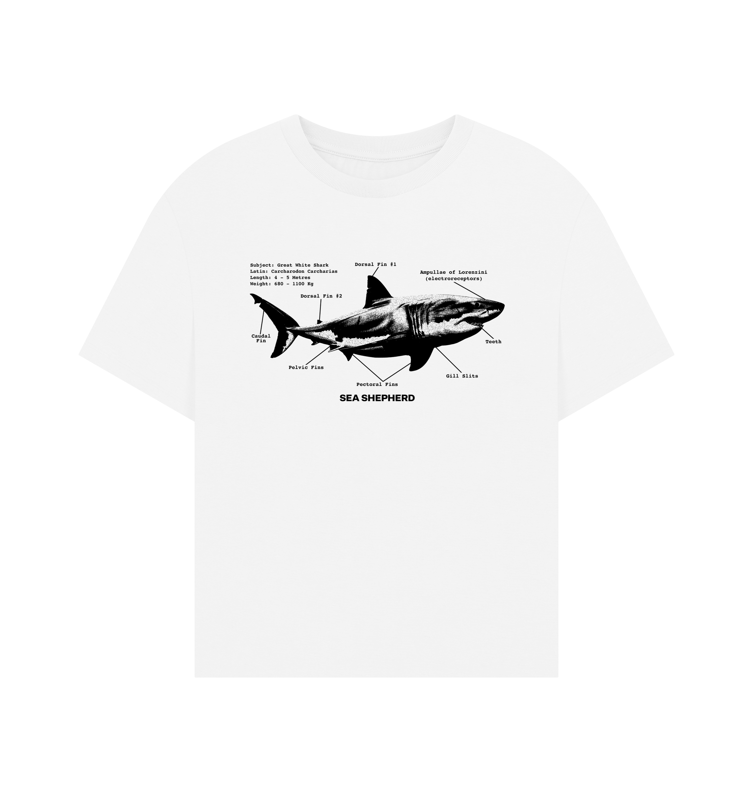 White Printed T-shirt