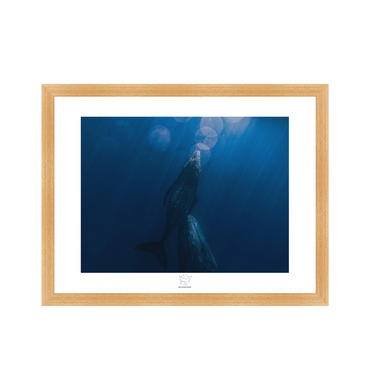 Natural Frame Fine art print Front